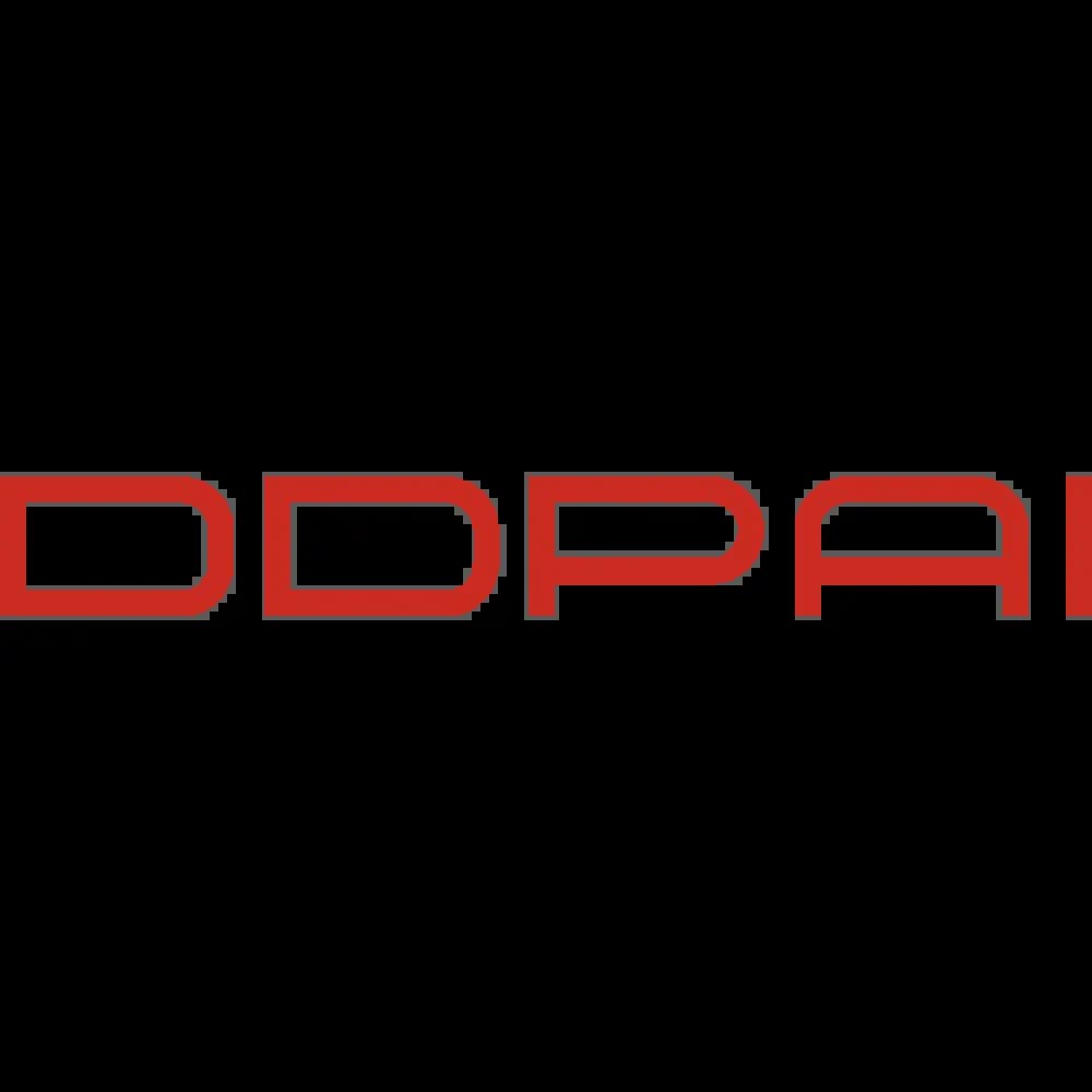 DDPAI